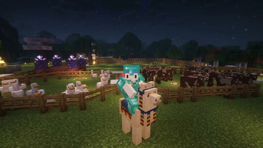 [MineBBS]-1718953224207.jpeg