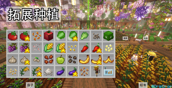 customcrop.png customcrop.png