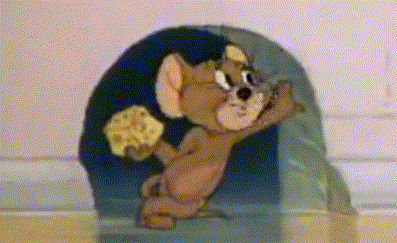 IMG_1537.gif