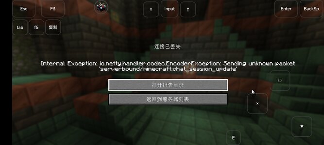 Screenshot_2024-09-15-20-53-43-020_com.tungsten.fcl.jpg