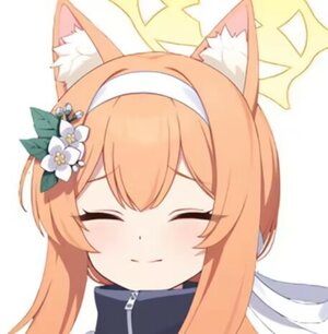 1731115914533.jpeg