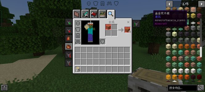 Screenshot_20250104_235255_com_mojang_minecraftpe_MainActivity.jpg