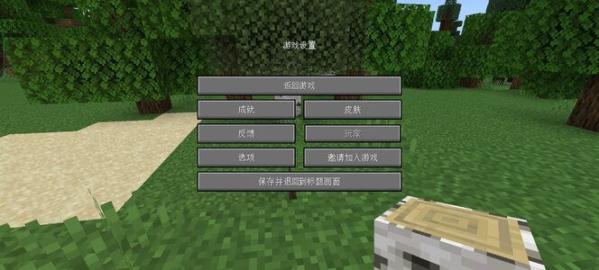 Screenshot_20250104_235305_com_mojang_minecraftpe_MainActivity.jpg