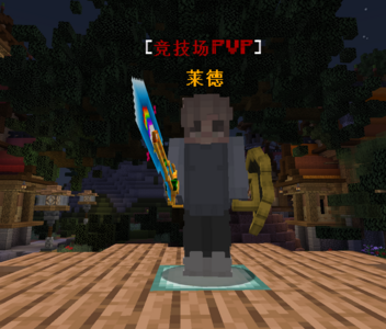 PVP.png