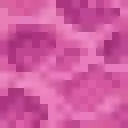 coral_pink-export.webp