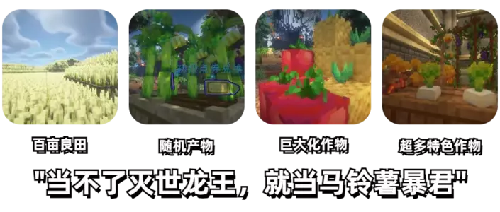 种田3.webp 种田3.webp