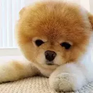 Benben