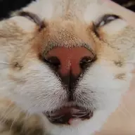嗑个瓜子怎么了