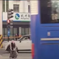 长安灯如海