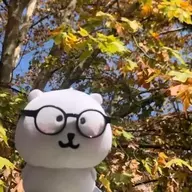 小远不要当黑奴