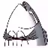 翻身の咸鱼