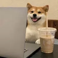 许 硕