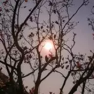 今年17帅晕自己