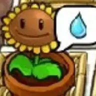 jeb_