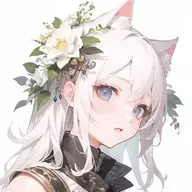 狐风轩汐