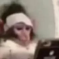traaa