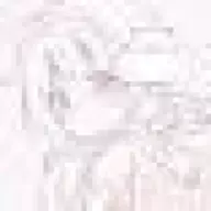 用户7774162672