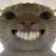 硕硕