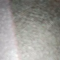 俞 振亮