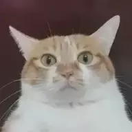 你好_调零