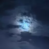不断生长的树