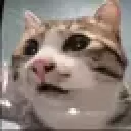 4433