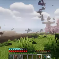 TCDIMO