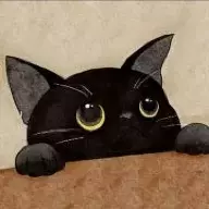 一个哦依稀