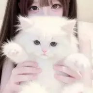 sfsy