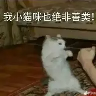 66060