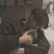 达芬柒柒柒