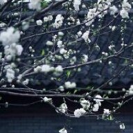李洽川风广告