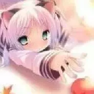 猫柚柚