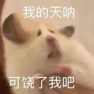 蜀黍鼠鼠