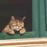 傅某
