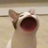 余名渊