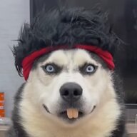 PeiQY