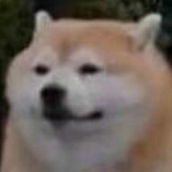 非酋耶