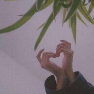 长谷深风不思故里
