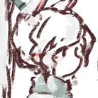 海鸥想去码头