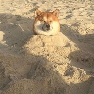 克先森