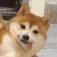 lidwshfvcx
