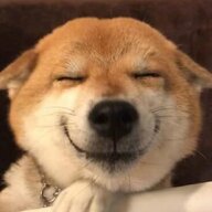 老实人专业诈骗中心