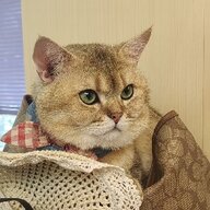 Nyuzka