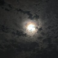 时光伴我久