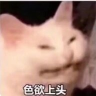 白哓