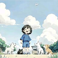 昏旸