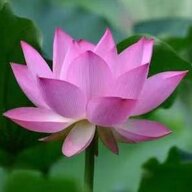 火花四射八级大狂风