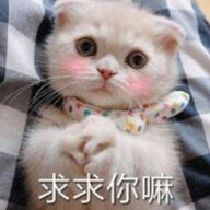 时安安