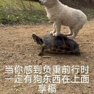 千里之行